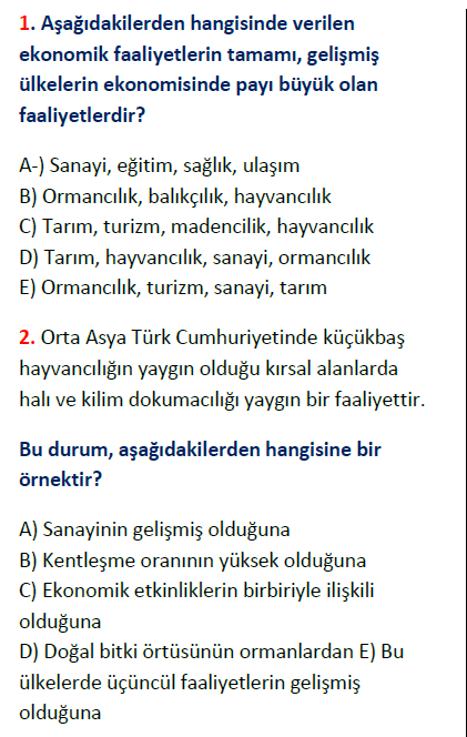 Ekonomik faaliyetler testi