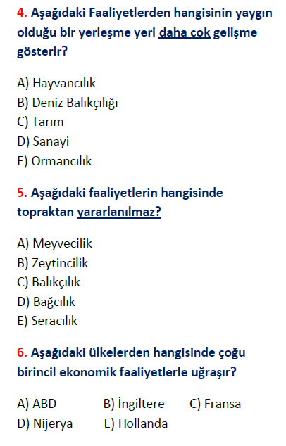ekonomik faaliyetler örnek testler