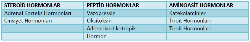 hormonların kimyasal yapılarına göre çeşitleri
