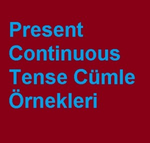 Present Continuous Tense Cümle Örnekleri