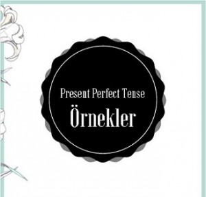 Present perfect tense örnek