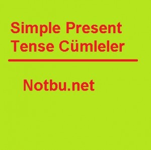 simple present tense cümleler