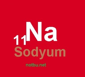 sodyum