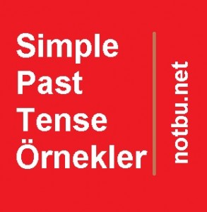Simple past tense örnekler