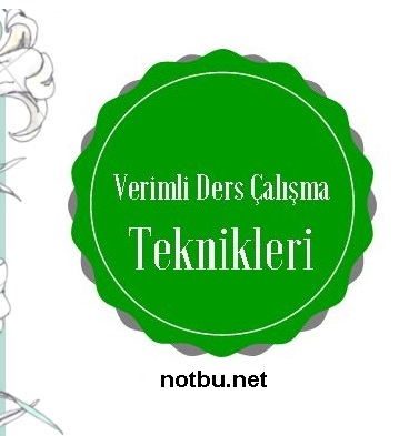 Verimli ders çalışma teknikleri