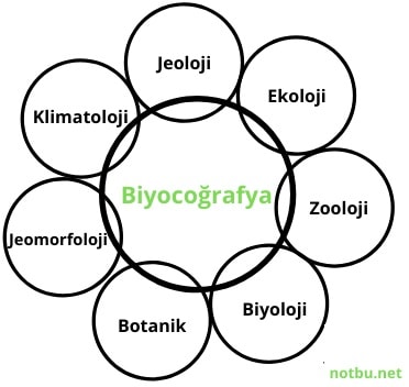 biyocoğrafya nedir