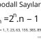 Woodall sayıları