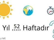 Bir yıl kaç haftadır