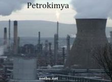 Petrokimya nedir