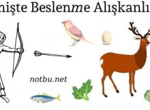 Geçmişte insanların beslenme alışkanlıkları