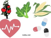 besinlerin tazeliğinin ve doğallığının sağlıklı yaşam için önemi